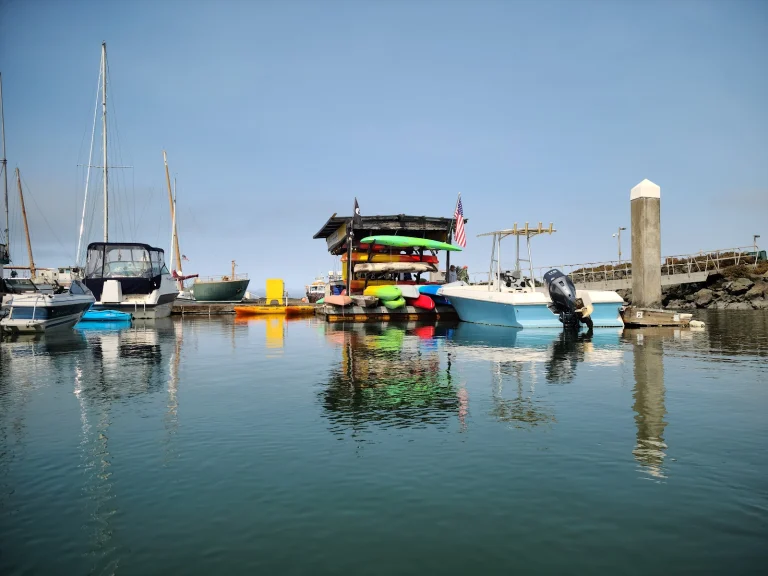 Humboats Kayaking Google Places photo