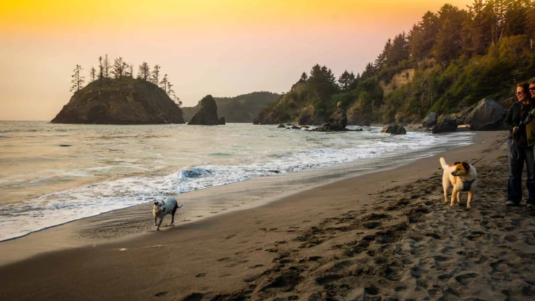 Trinidad, Humboldt County.