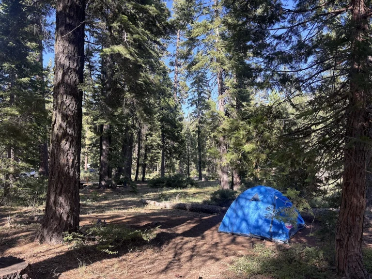 Lewis Campground