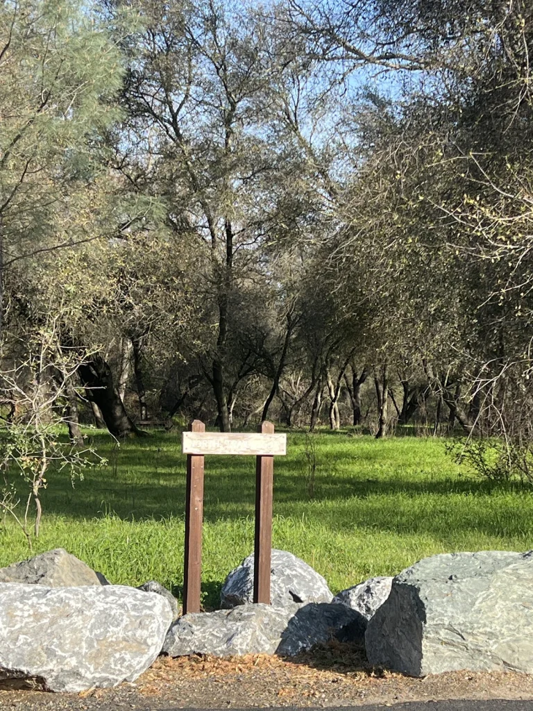 Miner’s Ravine, a dog-friendly hiking trail in Granite Bay, California