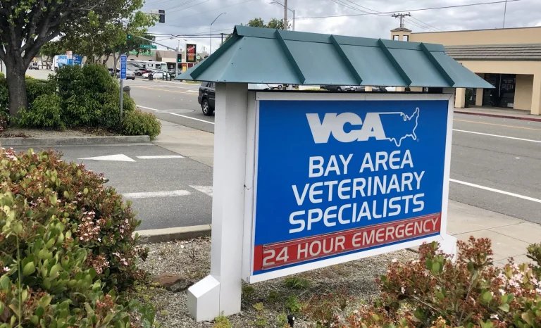 VCA Bay Area Google Places photo