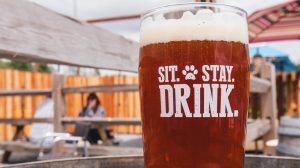 Dueling Dogs brewing company beer