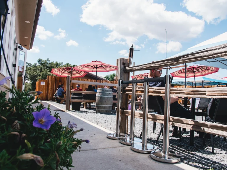 Dueling Dogs Brewing Co.