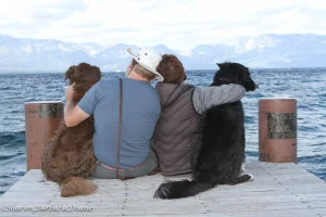 Lake Tahoe’s best-in-show dog camp