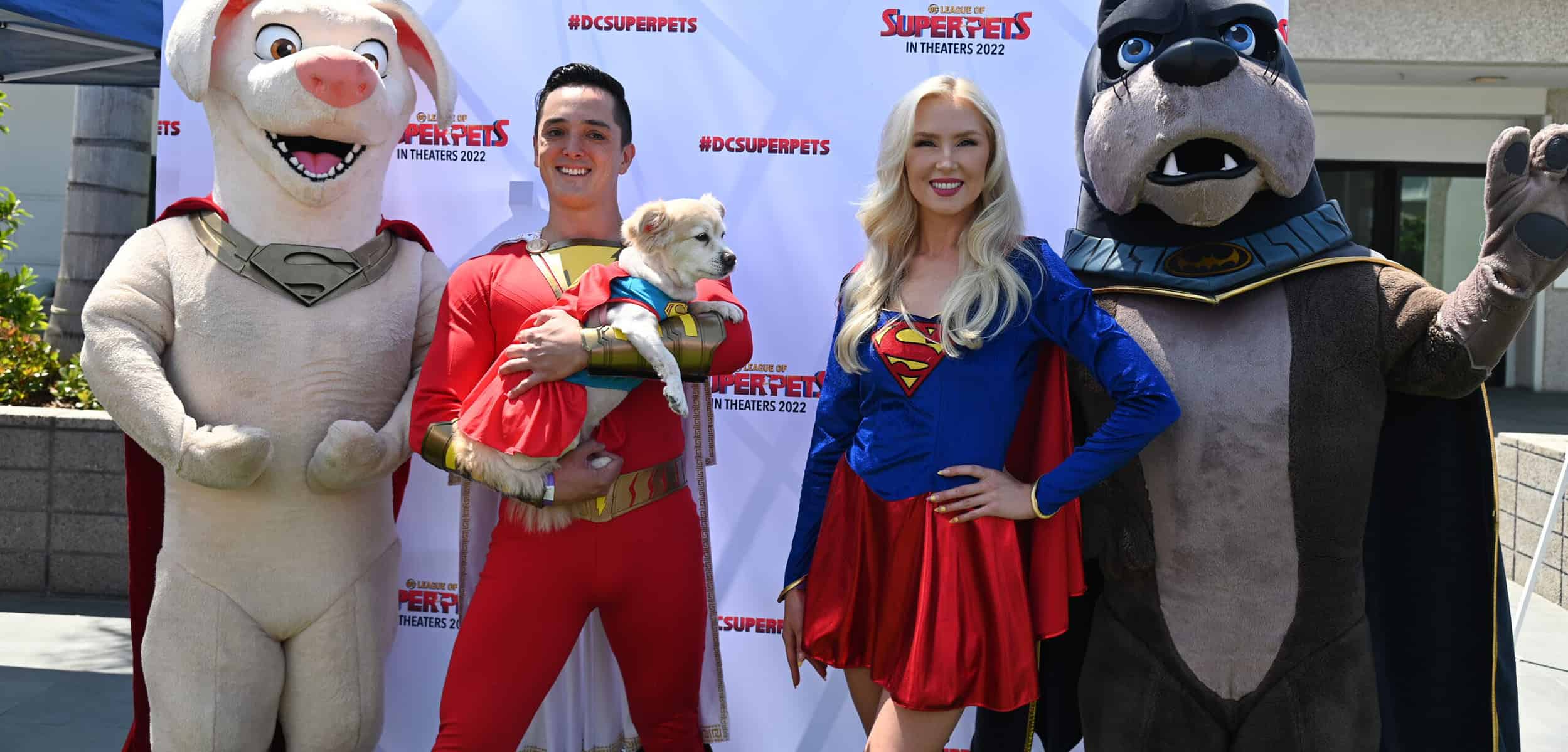 A couple and dogs in superhero costumes pose with two people wearing dog mascot costumes.