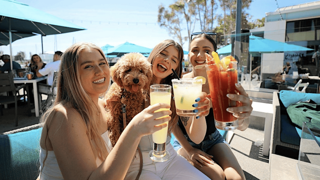 women holding cocktail with dog on outdoor patio