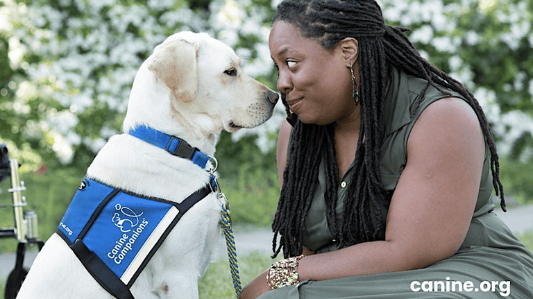 A vibrant dog park bathed in sunlight features abundant greenery with mature trees, offering ample shade for leisurely outdoor activities. In the distance is a well-equipped playground that presents an additional activity area. An inviting picnic table spreads out nearby, ideal for enjoying meals al fresco or taking relaxing breaks from play. A neatly-placed trash bin aids in maintaining the park's cleanliness for everyone's enjoyment. Dominating the scene is a generously wide dirt path gracefully curving through the expanse of grass, promising exploratory walks and lively fetch games.