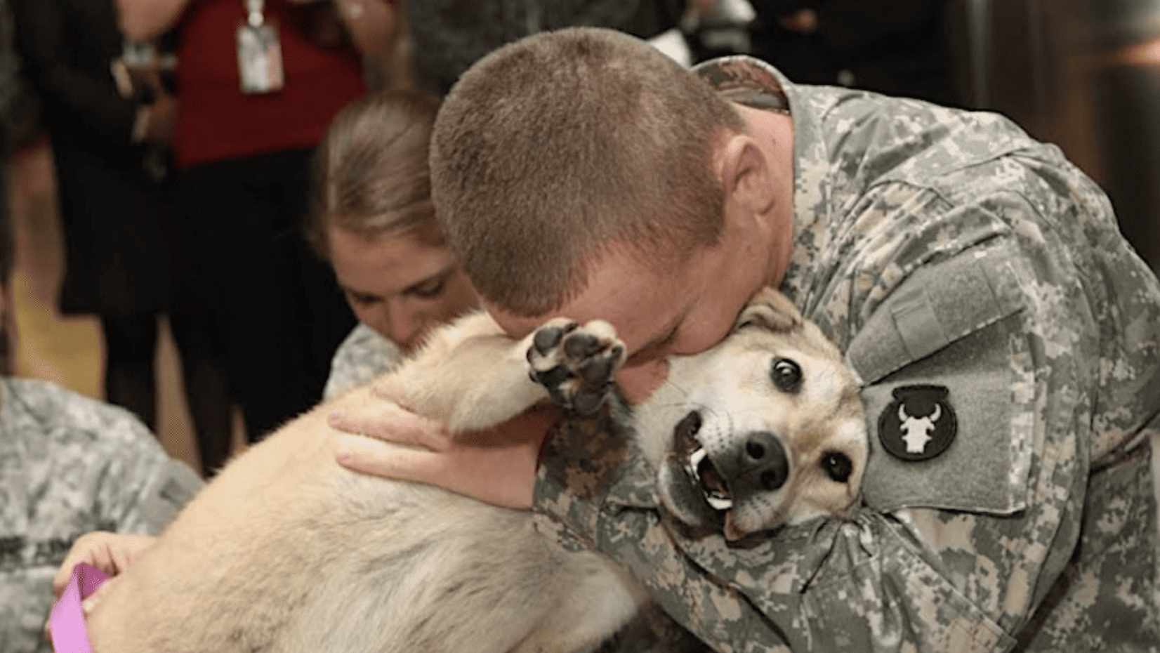 a man in military fatigues hugging a dog.