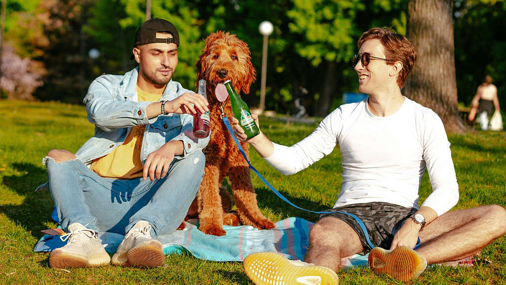 two men on blanket with dog in park