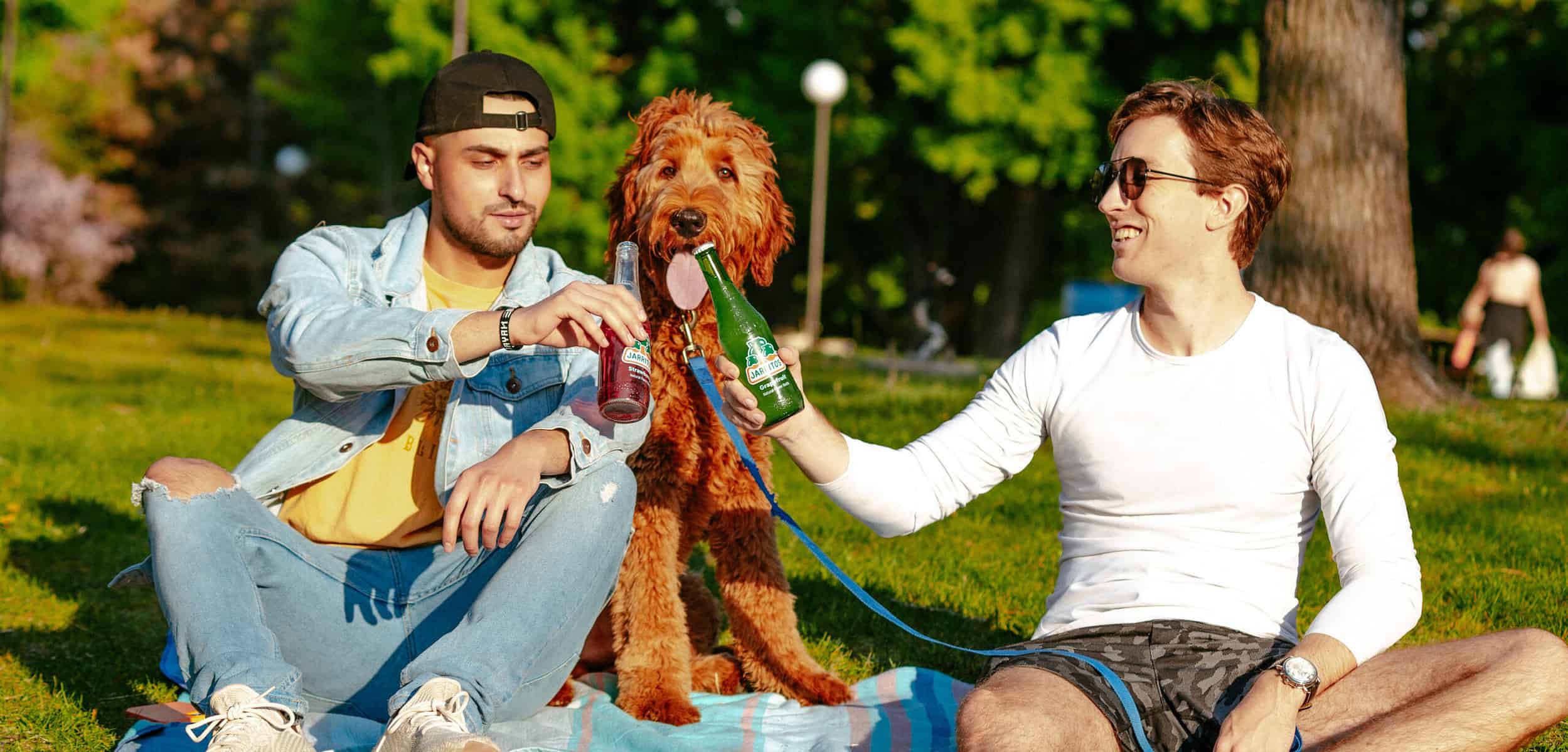 two men on blanket with dog in park