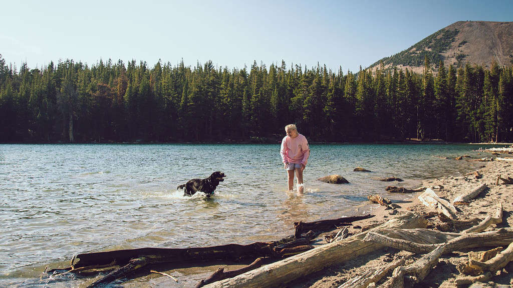 a person and a dog in the water.