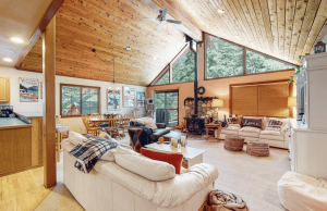 Dog-friendly Vacasa vacation rental in Truckee living room.