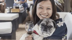 Pawsport Yountville: Dog-friendly wine tasting weekend