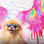 a small dog wearing sunglasses in front of a mural with wings painted on it.