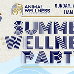 a poster for a summer wellness party.