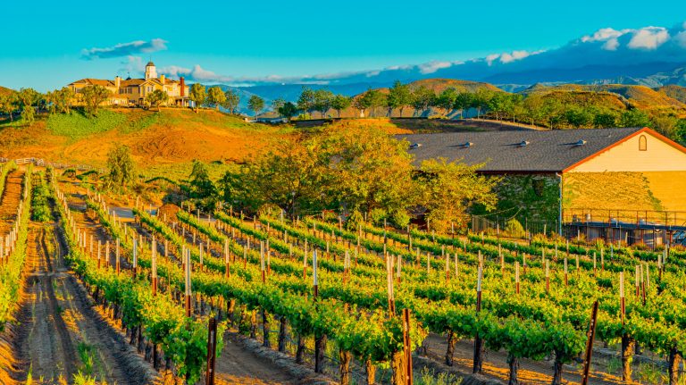 SoCal Wine Country