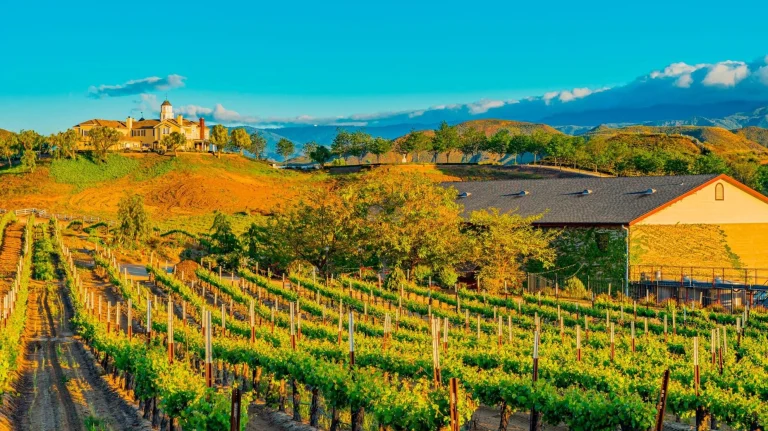 SoCal Wine Country
