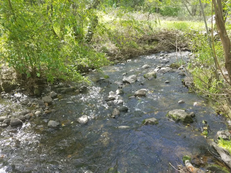 Hinkle Creek Nature Area