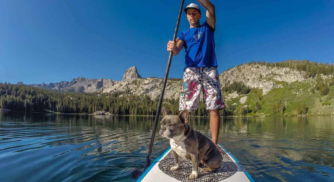 a man and his dog paddle a boat on a lake.
