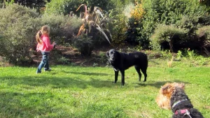 Family fun with a pup-friendly pedigree