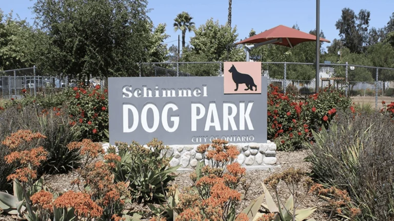 Schimmel Dog Park