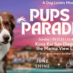 Graphic that says Pups in Paradise