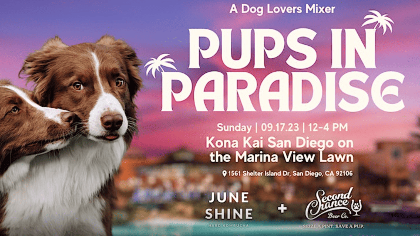 Graphic that says Pups in Paradise