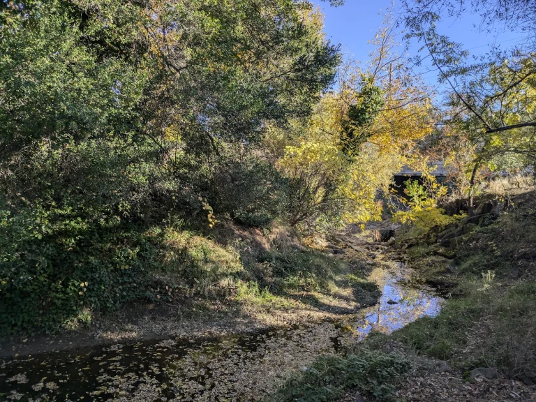 Alamo Creek Park