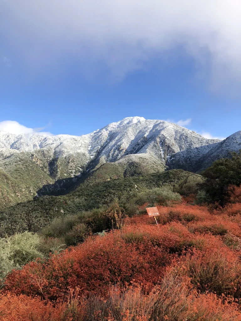 West Cucamonga Creek Trail, Ontario