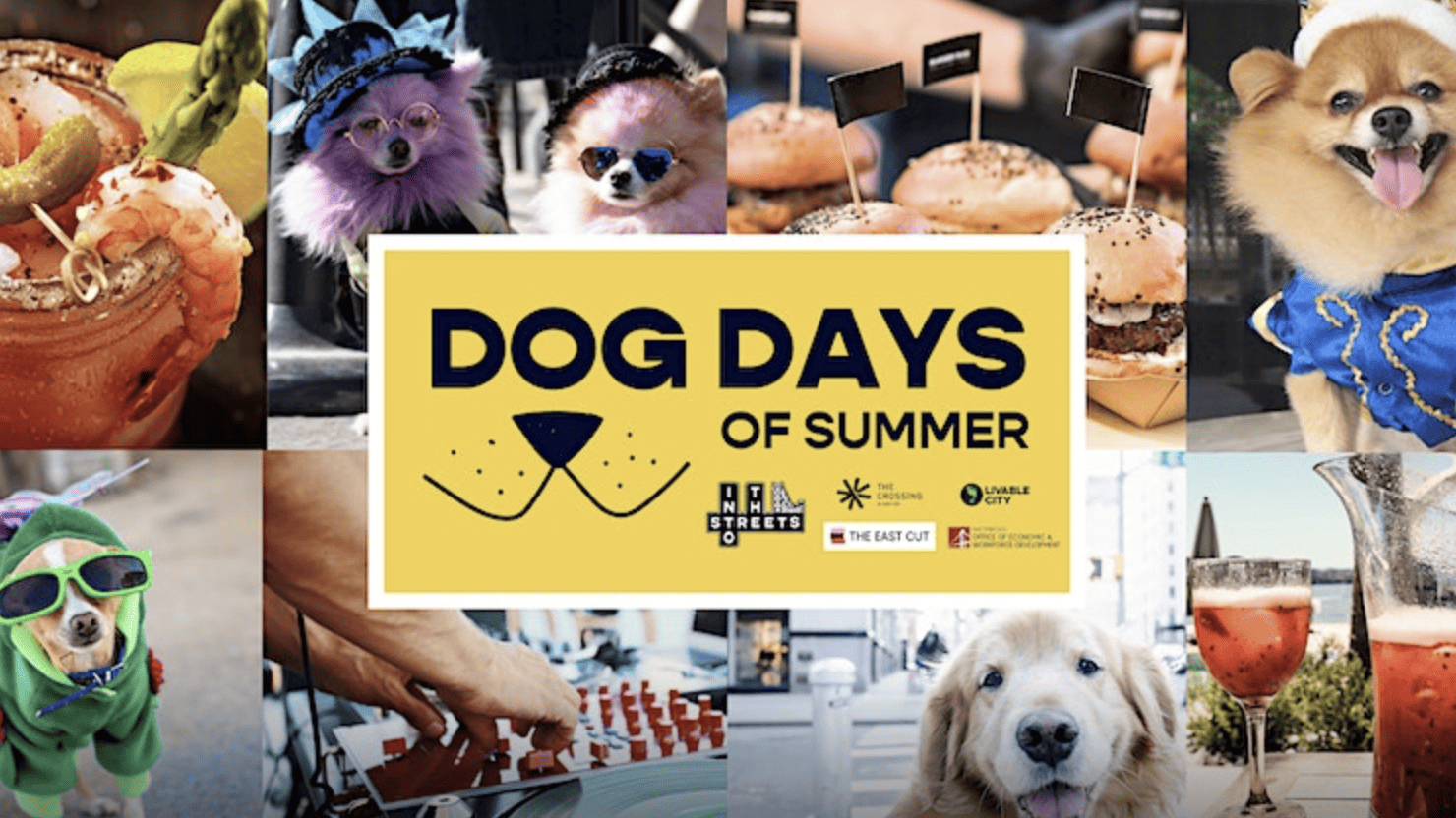 Dog-Friendly Events in the Bay Area, Summer 2023