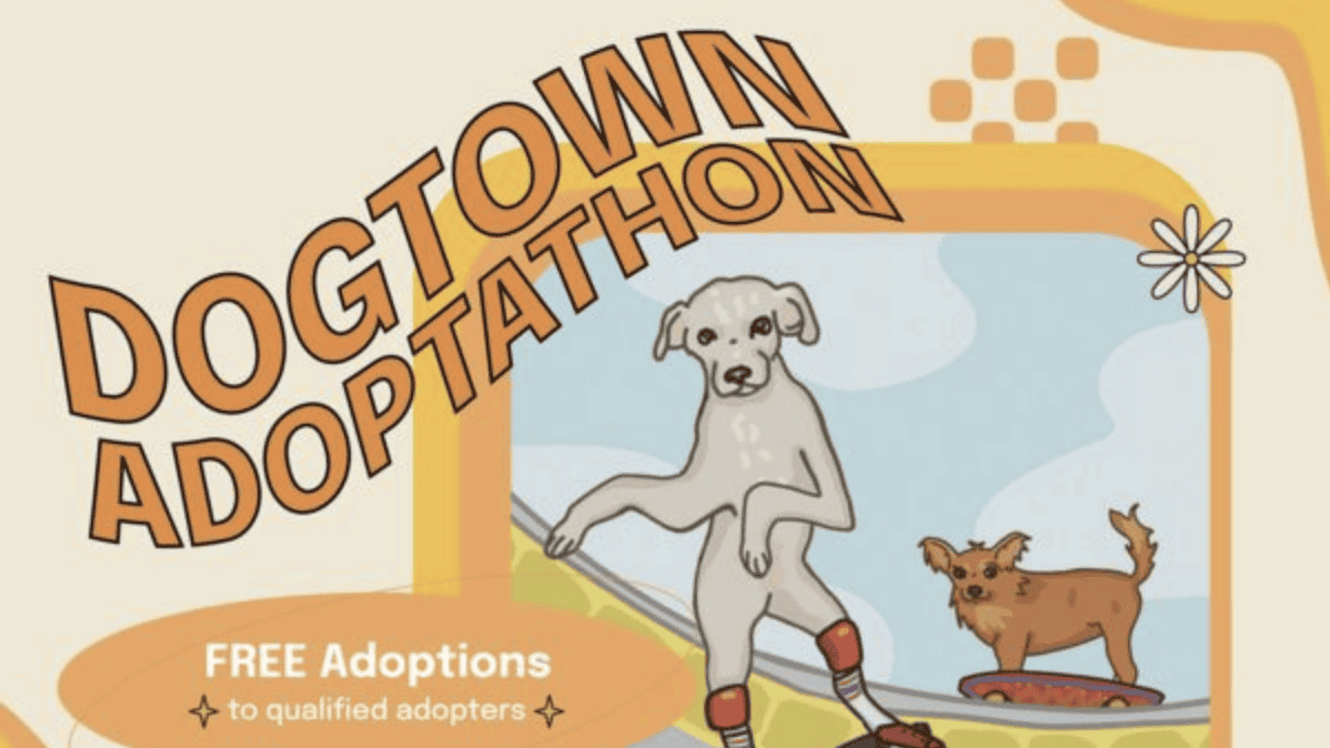 Dogtown adoption flyer with a dog on a skateboard.