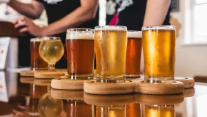 Pups & Pints at Steady Brewing
