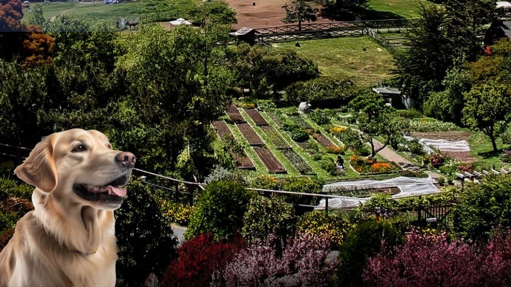 Aerial view of beautiful grounds at the Stanford Inn