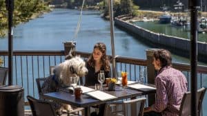 Couple with dog at table on patio at HarborView Bistro and Bar overlooking the water.