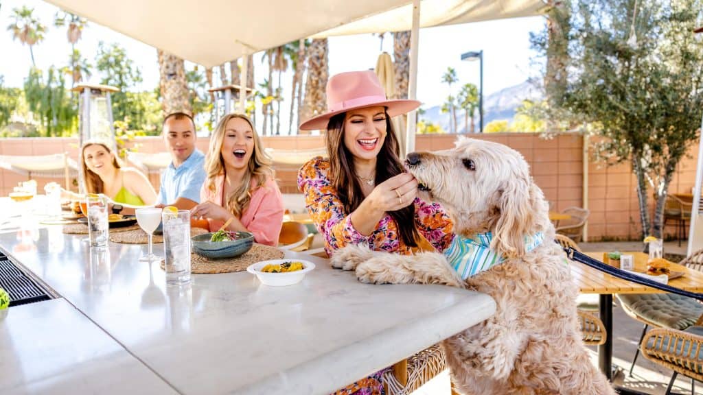 group of people at outdoor table looking at a dog with paws up on the end of the table at Boozehounds in Palm Springs.