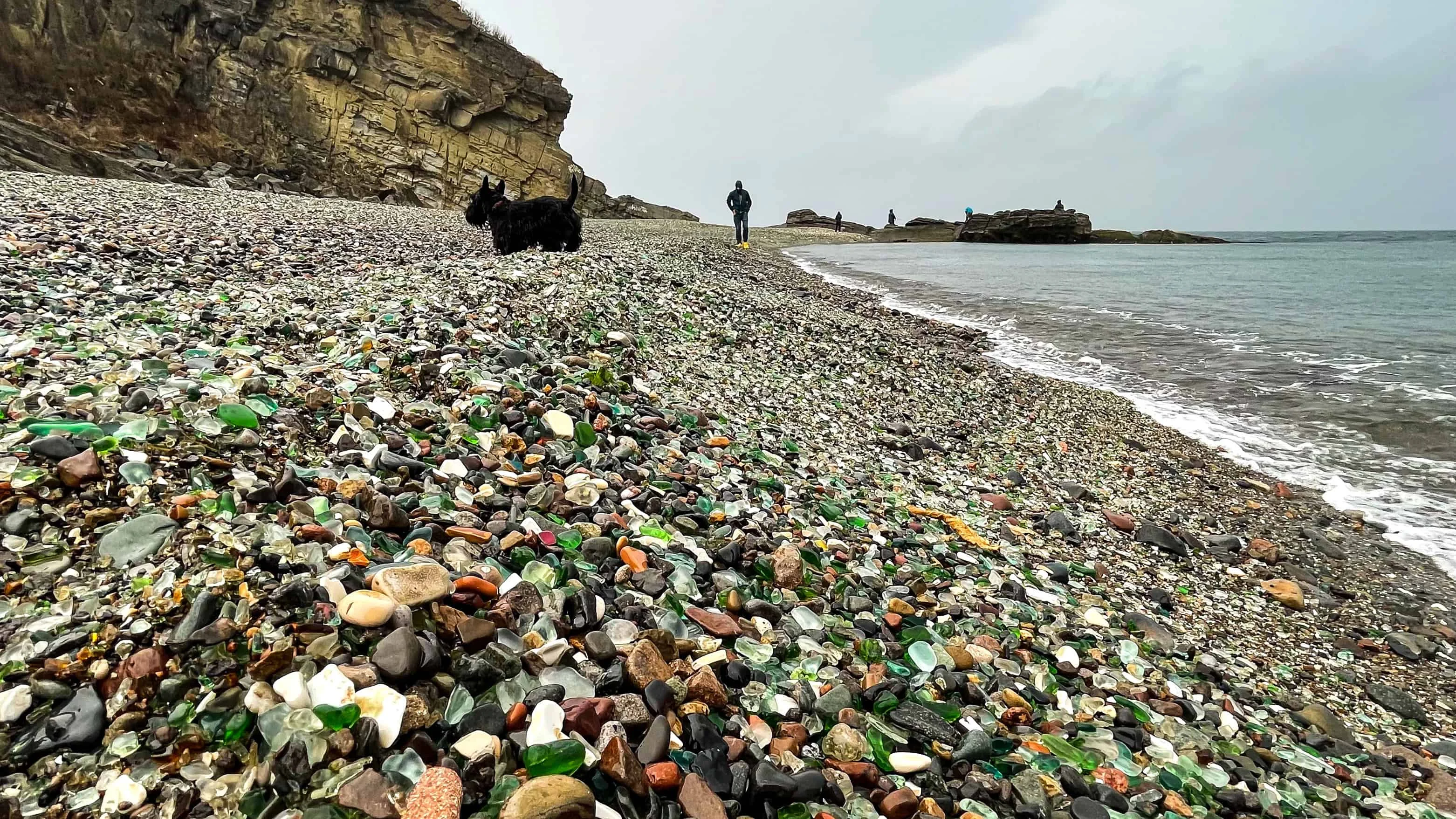Glass Beach, Fort Bragg. Soft on the paws!