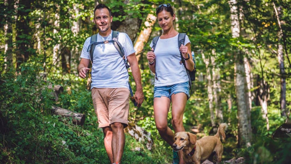 Couple with a small yellow dog in forest