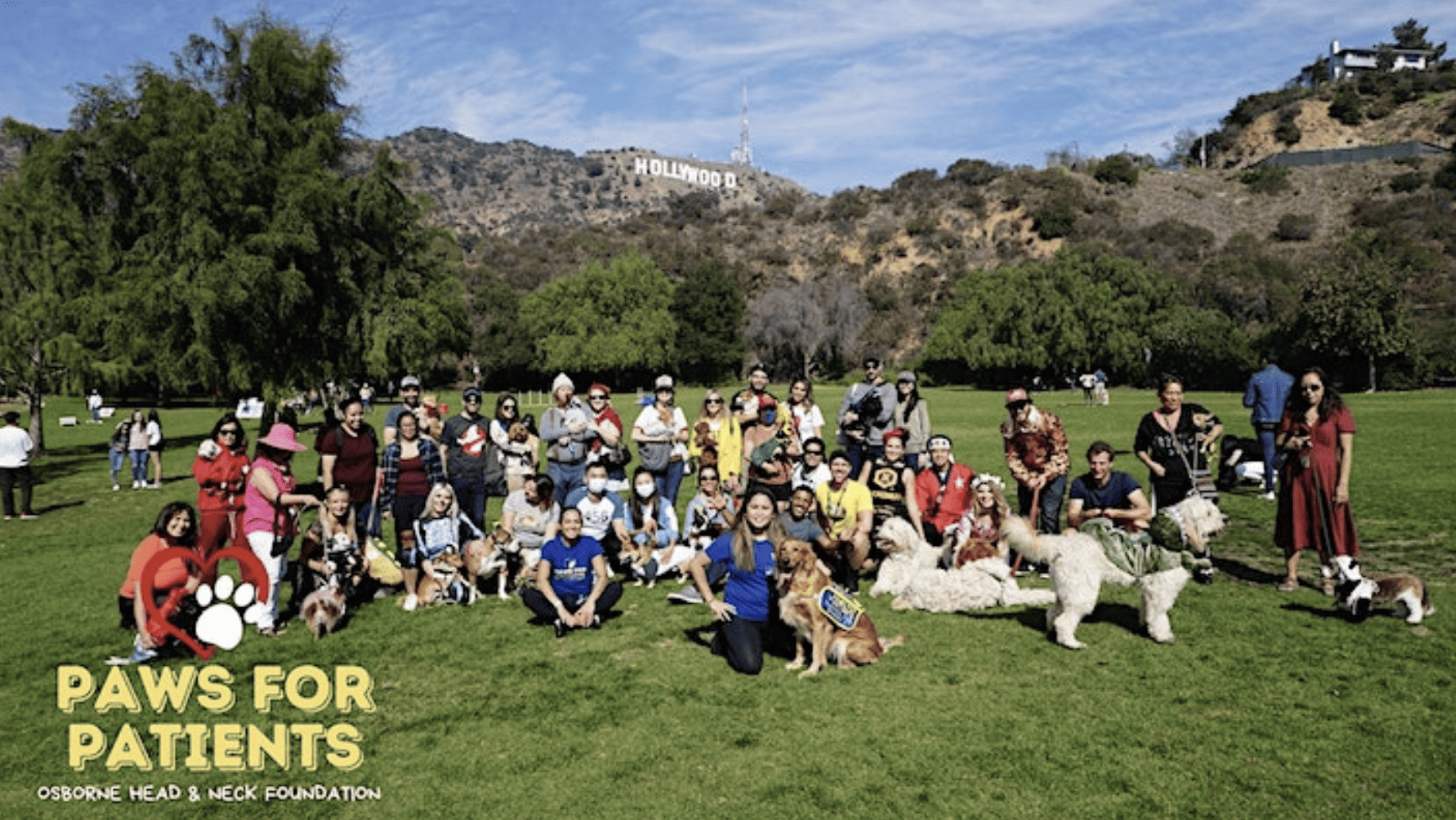 group of people and dogs in costumes posing on the grass with the Hollywood sign in the background
