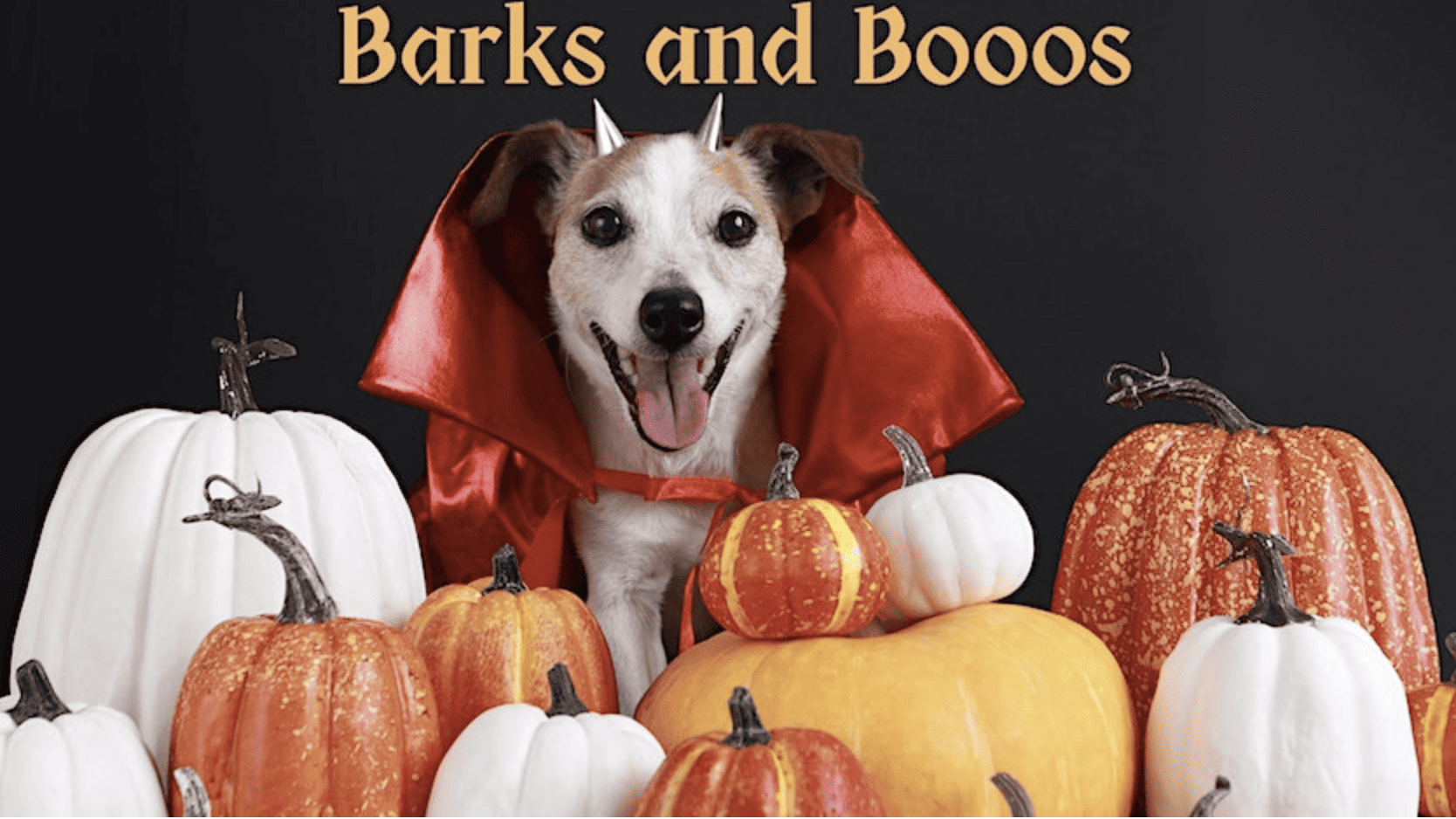 Barks and Booos banner