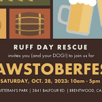 Pawstoberfest banner