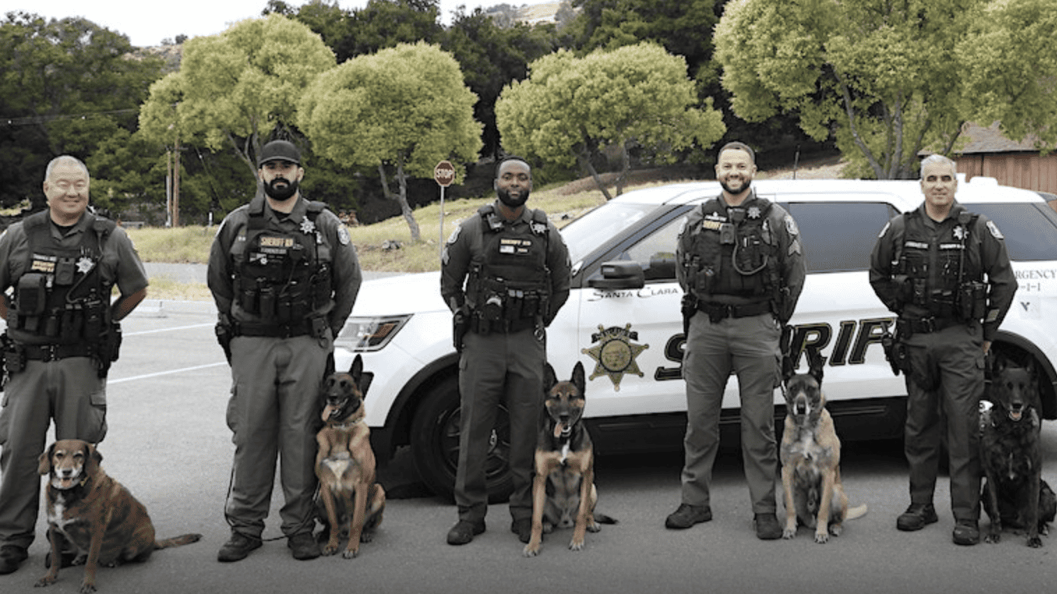 deputies pose with their dogs