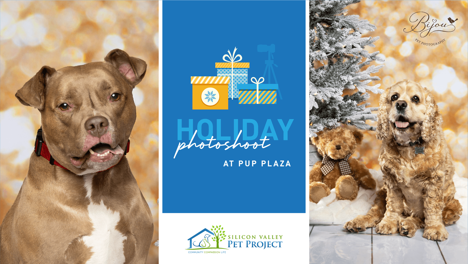 Holiday Photo Shoot with your Pup at Pup Plaza banner