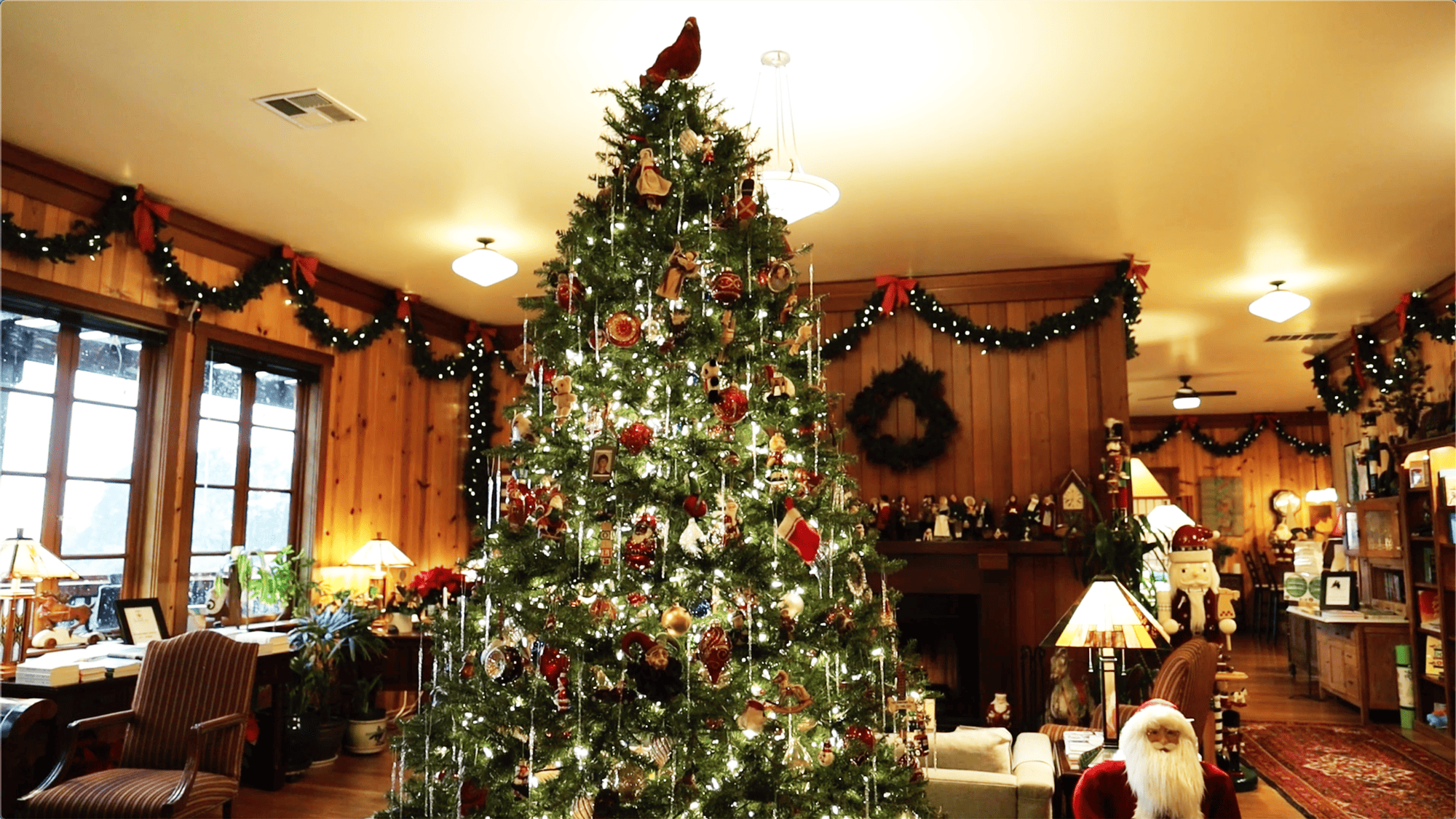 Christmas tree at Stanford Inn
