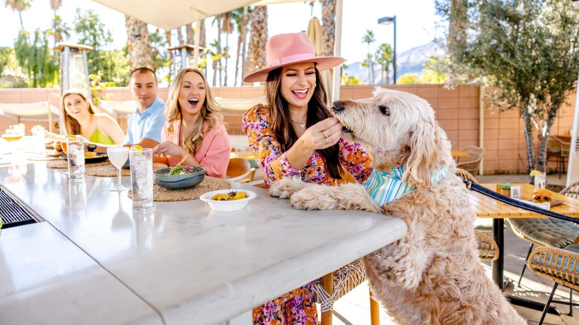 Dog and people at Boozehounds