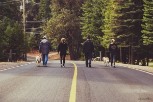 Family Walk Near Lake Almanor