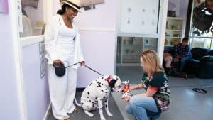 Dalmation dog getting a treat from a staff member at Noni’s Pet Grooming Boutique in Pleasant Hill.