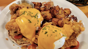 A vibrant dog park bathed in sunlight features abundant greenery with mature trees, offering ample shade for leisurely outdoor activities. In the distance is a well-equipped playground that presents an additional activity area. An inviting picnic table spreads out nearby, ideal for enjoying meals al fresco or taking relaxing breaks from play. A neatly-placed trash bin aids in maintaining the park's cleanliness for everyone's enjoyment. Dominating the scene is a generously wide dirt path gracefully curving through the expanse of grass, promising exploratory walks and lively fetch games.