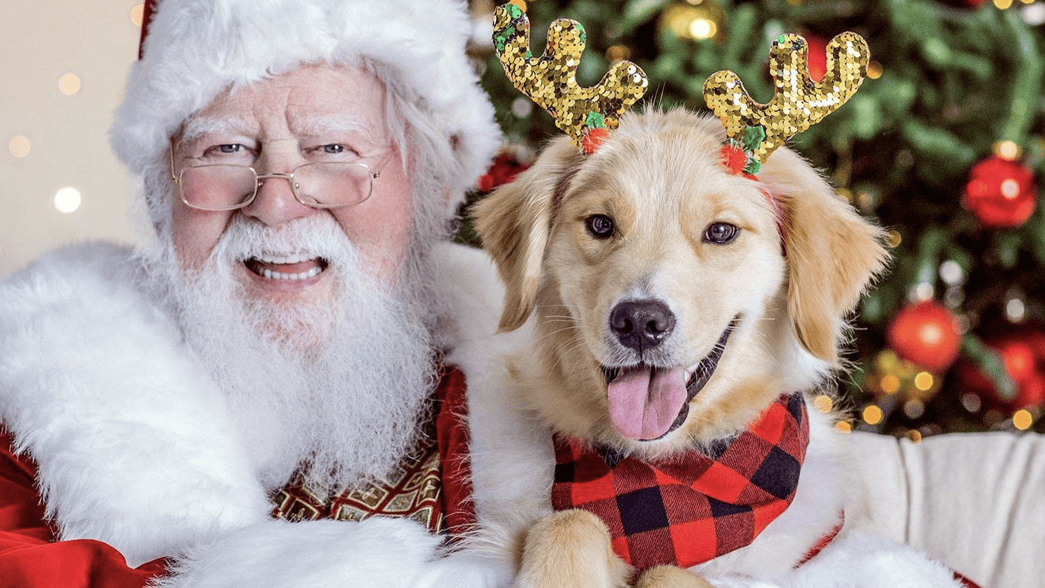 Santa with happy dog