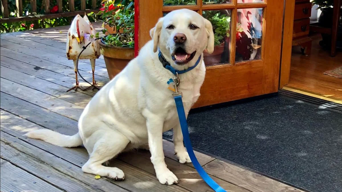 Maya checks into the Stanford Inn.