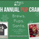 6th Annual PUP crawl